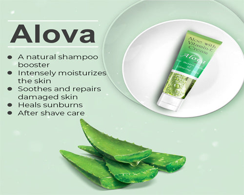 Alova Cream (Buy 3 Get 2 Free)